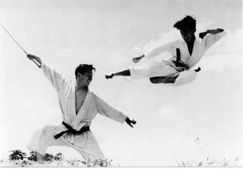 Kiyohara Sensei  Flying Side Kick (yoko geri) 2